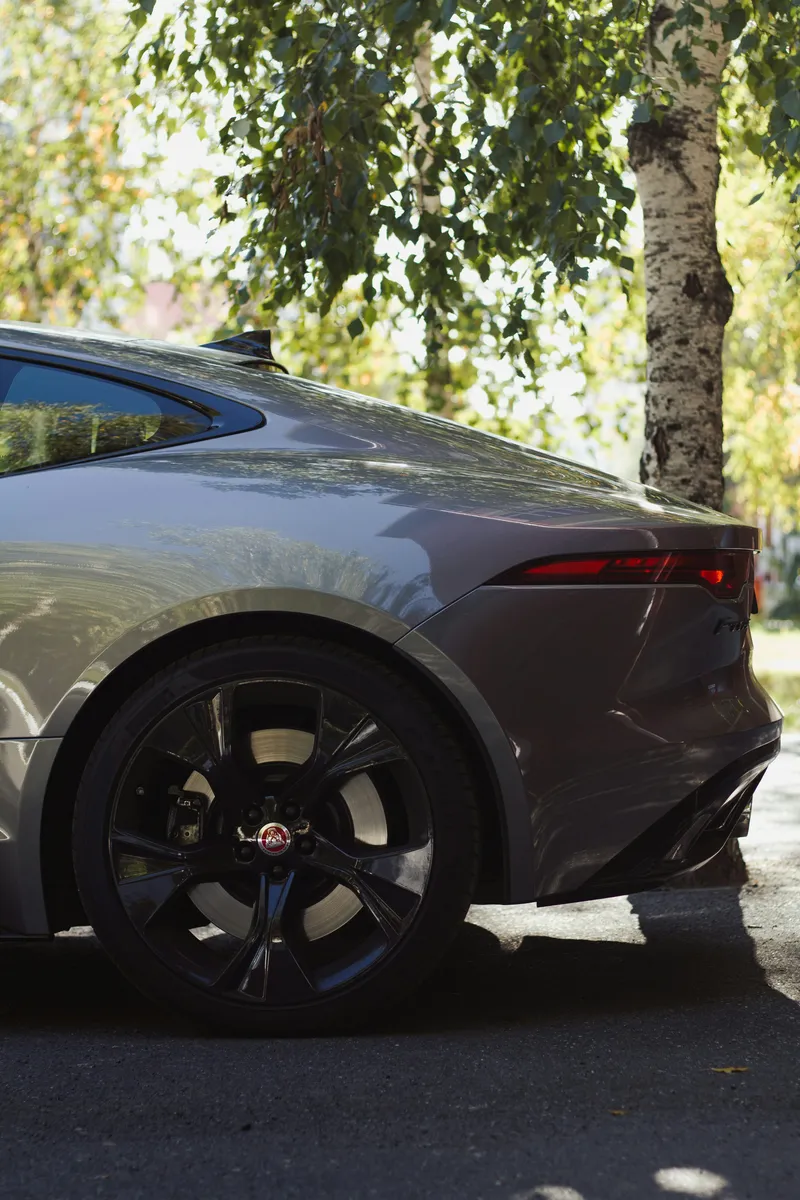 Jaguar
